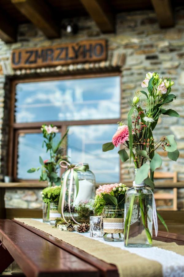 Chata U Zmrzlyho Vrchlabí エクステリア 写真
